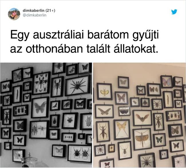 Tökéletes módszer ez a vendégek elijesztésére.