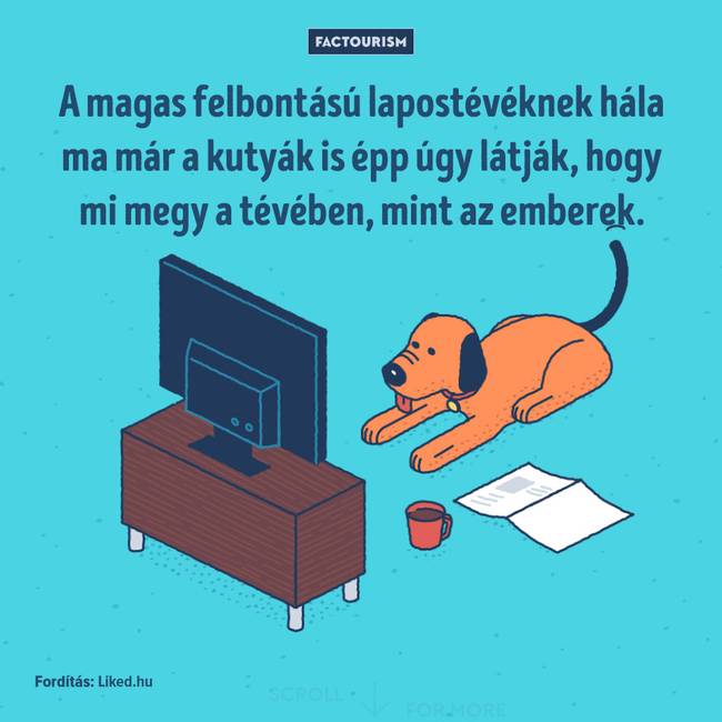25+ őrült tény a világról, ami még a tapasztalt tudósokat is sokkolja