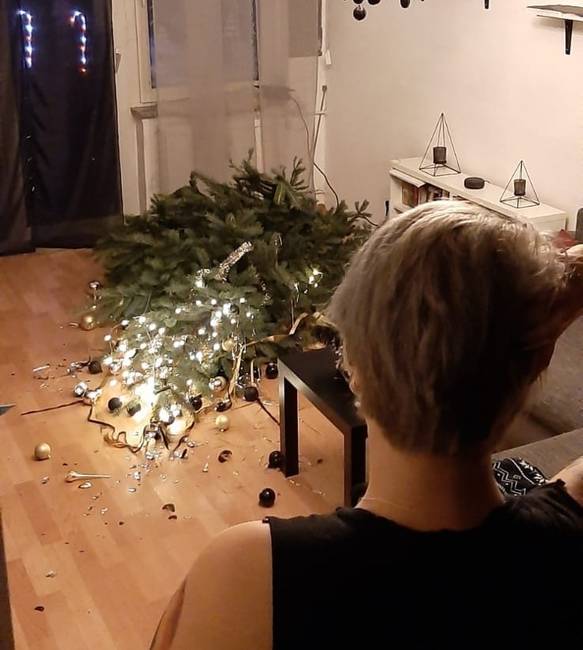 „Ma este elvesztettem egy fogadást. A feleségemmel fogadtunk, meddig fog állni a fa. Én azt hittem, hogy kibírja a másnap reggelt, de a macskák már este 7-re elintézték.”