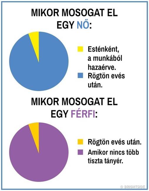 15 kördiagram, mely remekül summázza a férfi és női nem közti ordító különbségeket