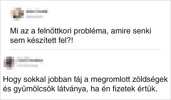 20 vicces hozzászólás, amik láttán azt kívánod, bárcsak Te írtad volna őket
