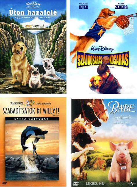 Emlékeztek még rájuk? Furcsa belegondolni, de fiatal korunk kedvenc állatos filmjeinek szereplői ma már egytől-egyig elhunytak. ☹