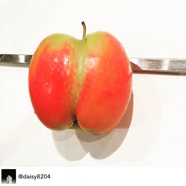 „Nem ette meg, mert úgy néz ki, mint egy fenék."