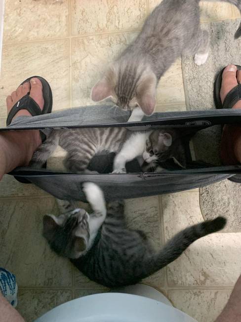 Egy percre sem tud pihenni mellettük az ember.