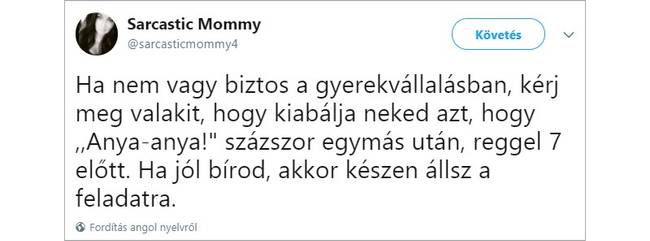 17 kép, ami jól mutatja, hogy milyen kiszámíthatatlan vállalkozás a gyereknevelés