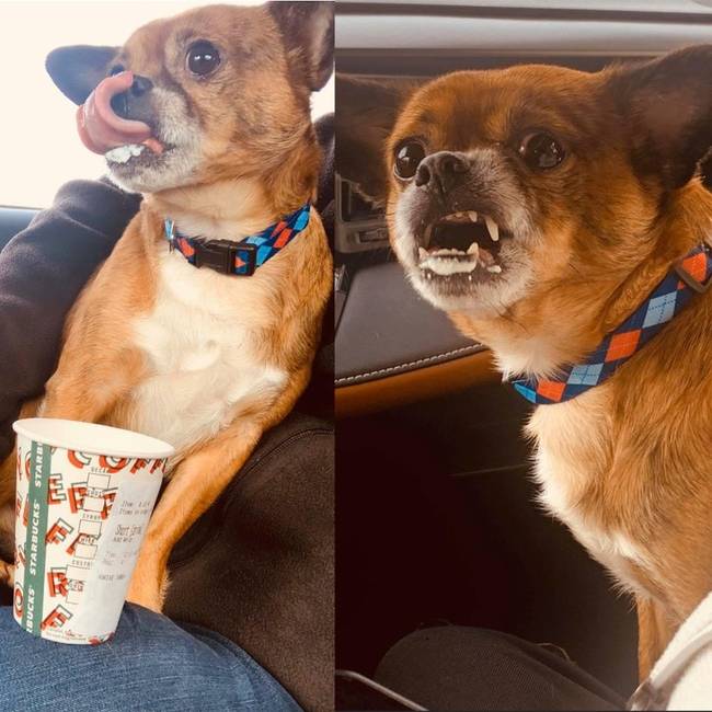 „Először kóstolta a cappuccino-t."