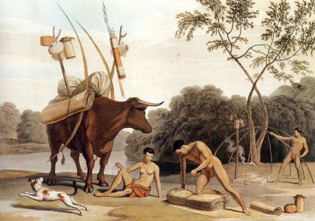 Európai rajz a hottentottákról. 1805.