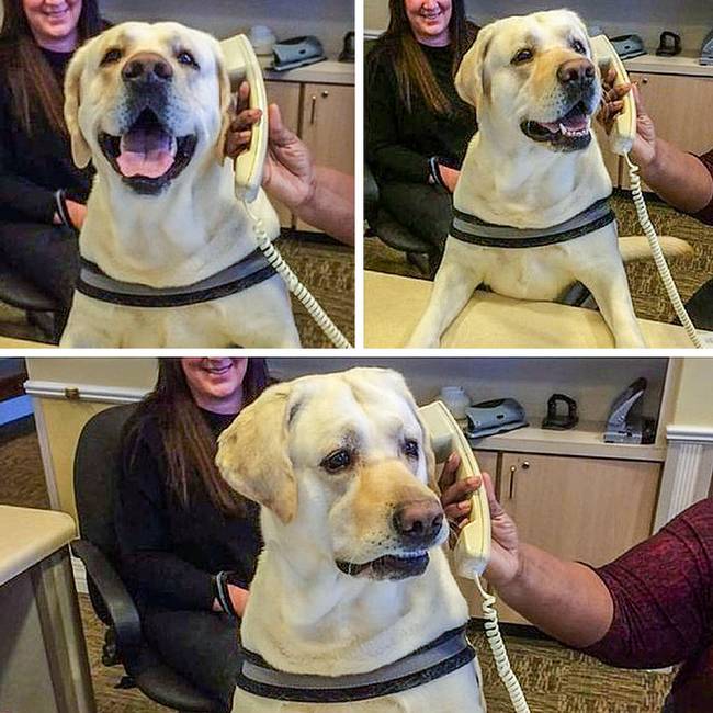 „Amikor megkérdezik, hogy be tudnál-e menni szombaton is dolgozni."