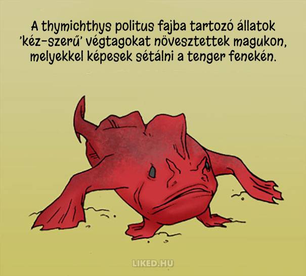 20 őrült tény az állatokról, amit nem tanítottak meg nekünk az iskolában