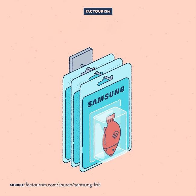 A Samsung egyik első terméke a szárított hal volt.