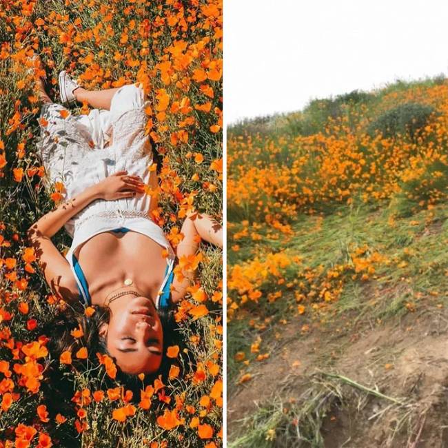 Instagram fotó és a következménye.