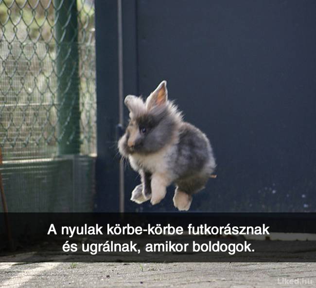20+ örömteli tény, ami után teljesen más szemmel nézel majd a világra