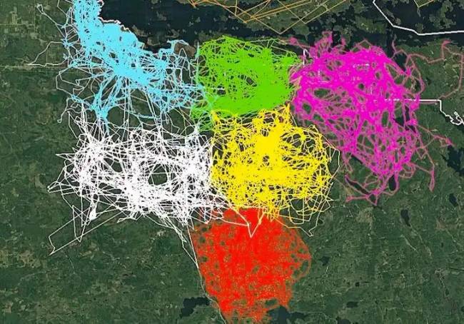 30 fotó, ami határozottan kitágítja a látóköröd