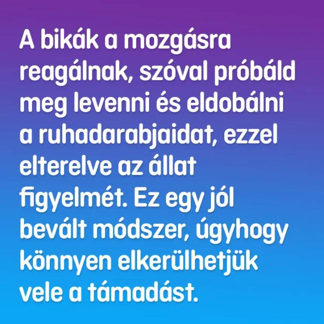 bikaval2