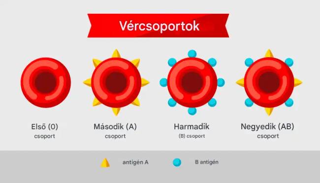 Az „arany vérű” emberek, kevesebb mint 50-en vannak a bolygón. Miért különlegesek, és hogyan élnek a Föld legritkább vérű emberei?