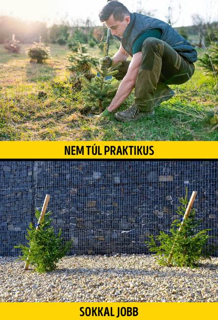 Egymás mellé ültetett fák és cserjék