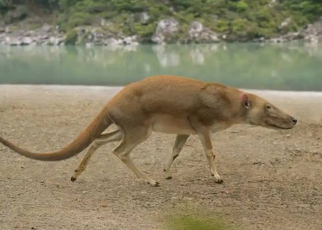 Dinoszauruszok történelem régészet 025