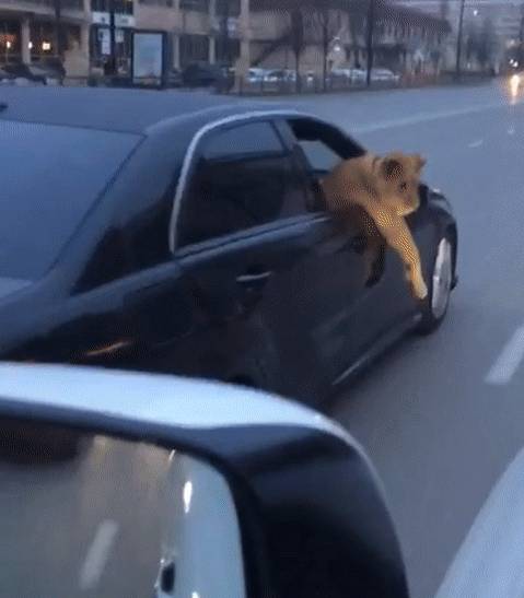 Persze van, aki nem az autójával, hanem inkább a benne ülő utasával igyekszik meglepni az embereket.