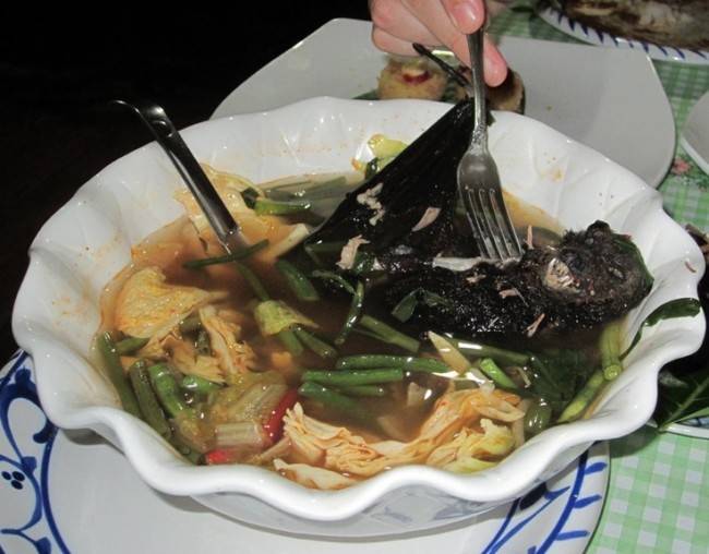 Denevérleves, egyenesen Thaiföldről.