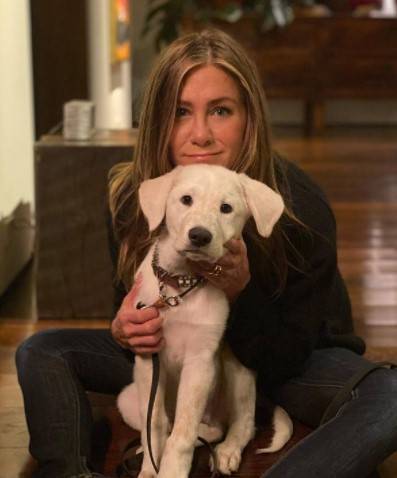 Jennifer Aniston fiatalkorában tévéboltban, fodrászatban és étteremben is dolgozott, mint felszolgáló.