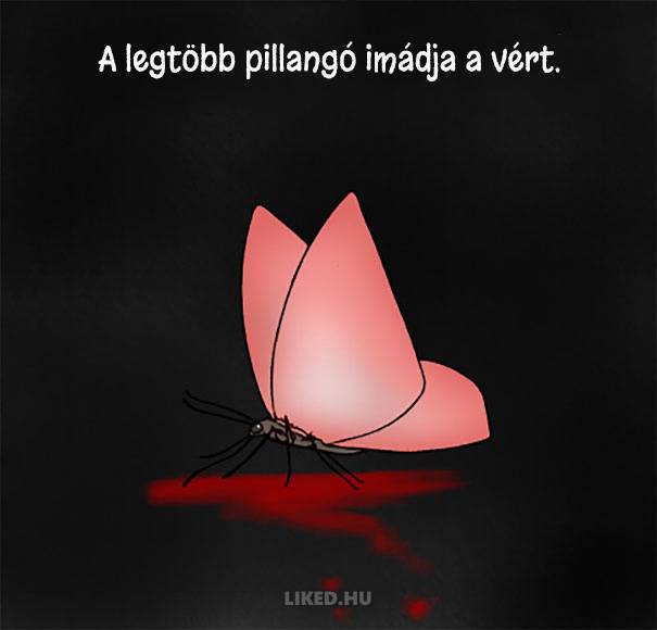 20 őrült tény az állatokról, amit nem tanítottak meg nekünk az iskolában