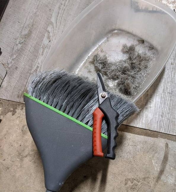 Mielőtt kidobod a régi seprűt, próbáld ki, hogy levágod róla a laza, kunkori végeket.