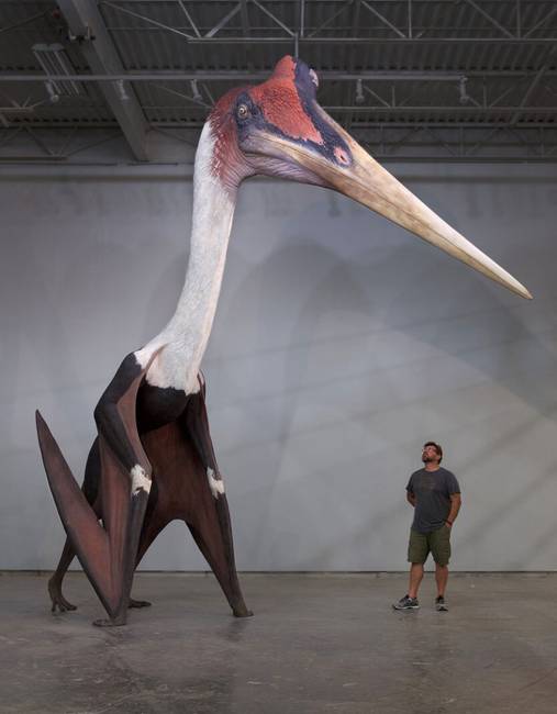 Végezetül: körülbelül ekkora lehetett a Quetzalcoatlus nevű madár, az eddig ismert legnagyobb repülő állat egy ember méretéhez képest.