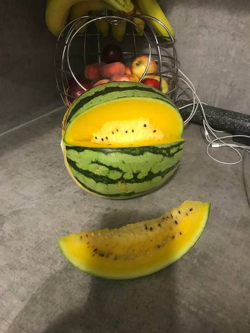 Sárga görögdinnye.