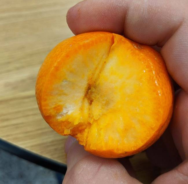 Ha valaha is gondolkodtál már rajta, hogy hogy néz ki egy teljes egészében héjból álló mandarin, akkor íme.