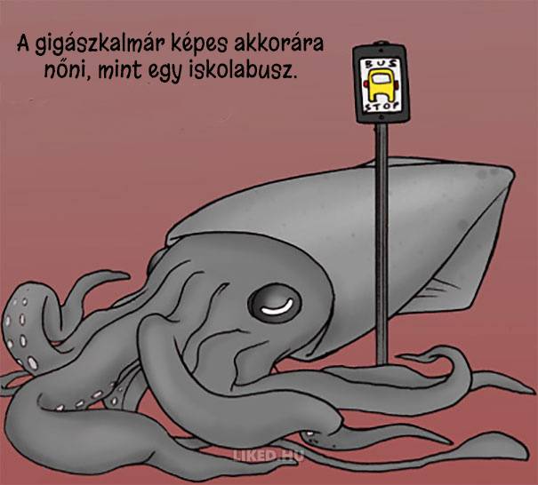 20 őrült tény az állatokról, amit nem tanítottak meg nekünk az iskolában