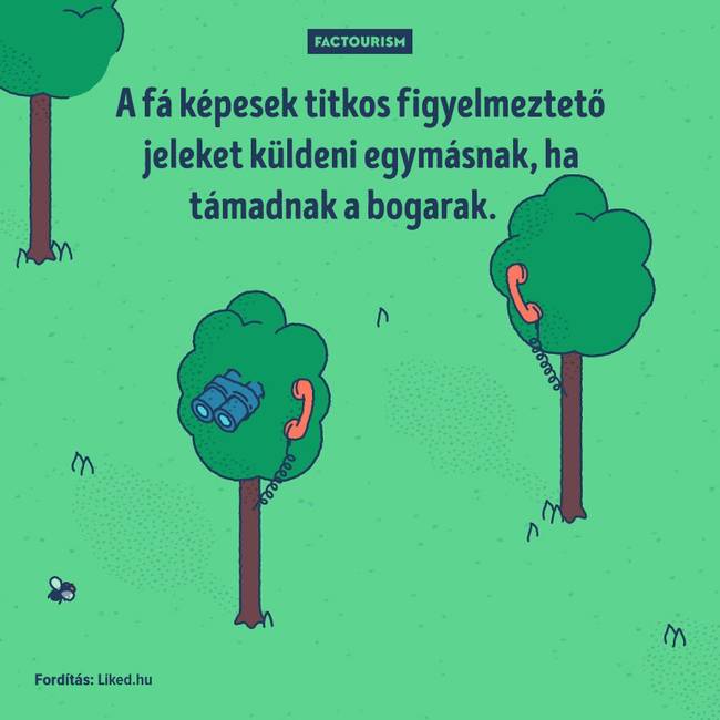 25+ őrült tény a világról, ami még a tapasztalt tudósokat is sokkolja