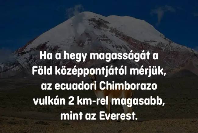 legmagasabb2