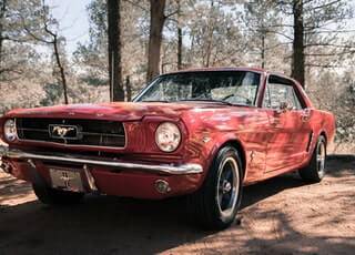 mustang