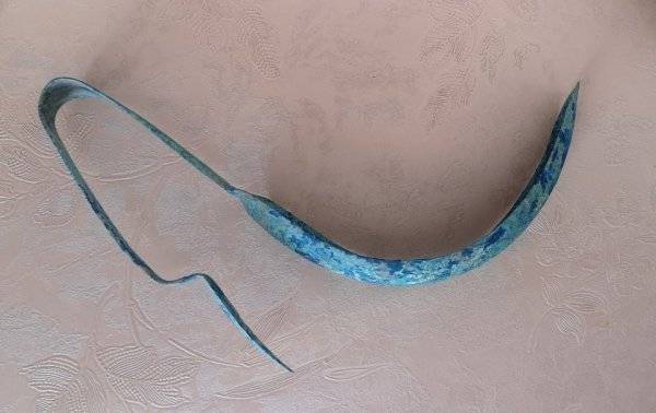 „Egy szicíliai mezőn találtuk ezt a kb. 25 cm hosszú valamit."