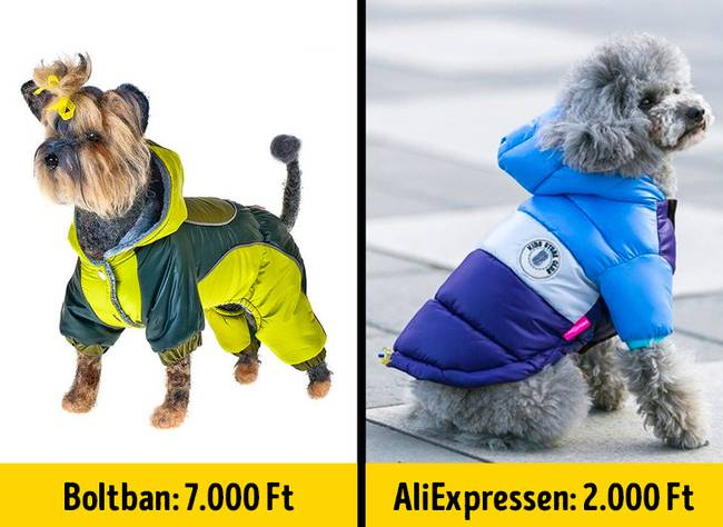 Kutyakabát
