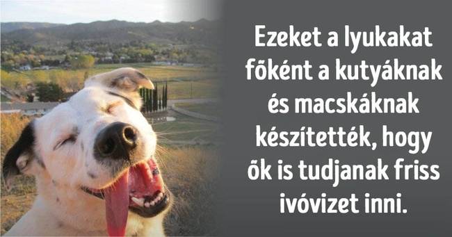 15 hihetetlen rejtvény, aminek a megoldása figyelemre méltó tudást és műveltséget igényel