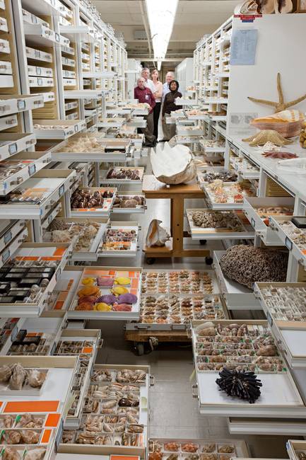 A Smithsonian Intézet raktára.