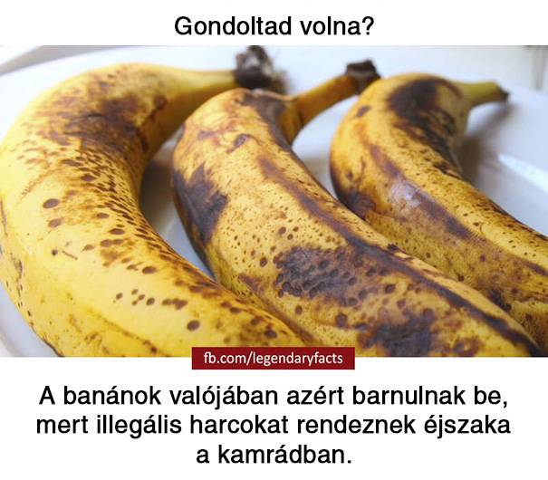 20 vicces tény a világról, melyek akár igazak is lehetnének