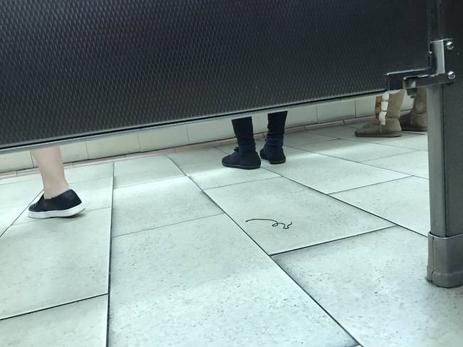 „Véletlenül bejöttem a női WC-be és 10 perce nem tudok kijutni, mert csak jönnek és jönnek a nők.”