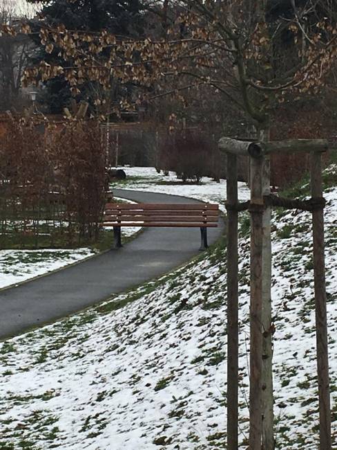 Amikor a séta a parkban hirtelen akadálypályává változik.