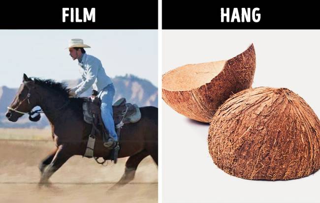 A lovak patájának hangja - kókuszdió.