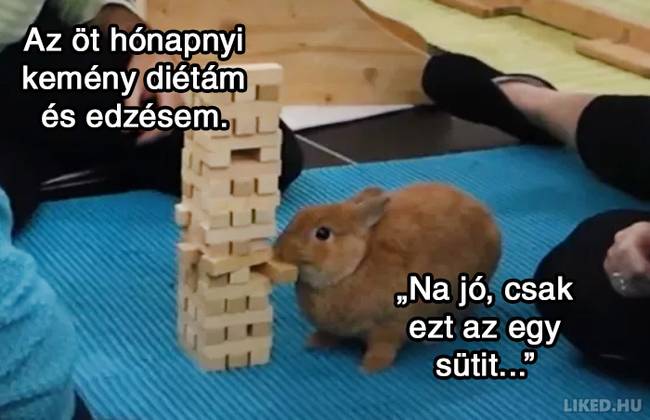 21 fogyókúrázással kapcsolatos mém, ami többet mond minden szónál