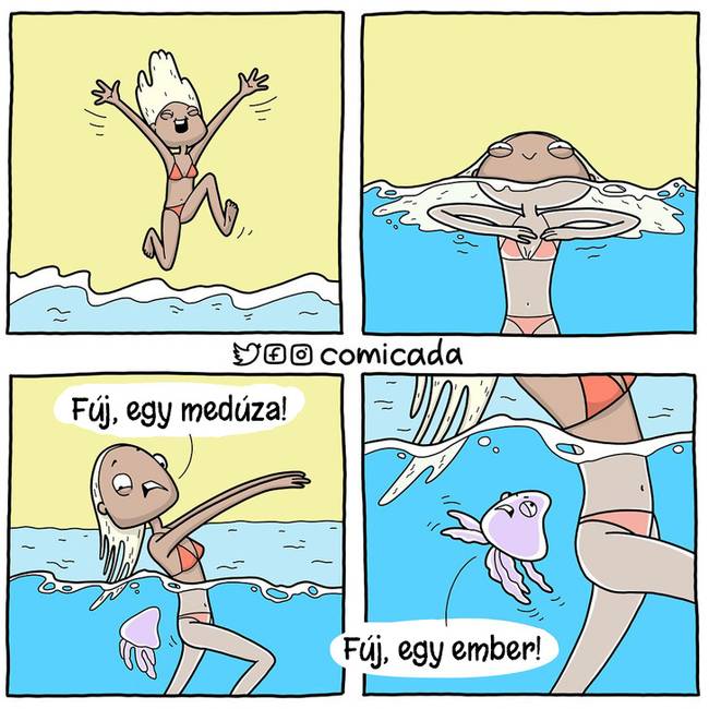 Víz alatti élet.