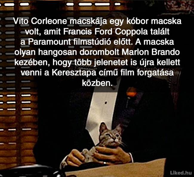 20+ örömteli tény, ami után teljesen más szemmel nézel majd a világra