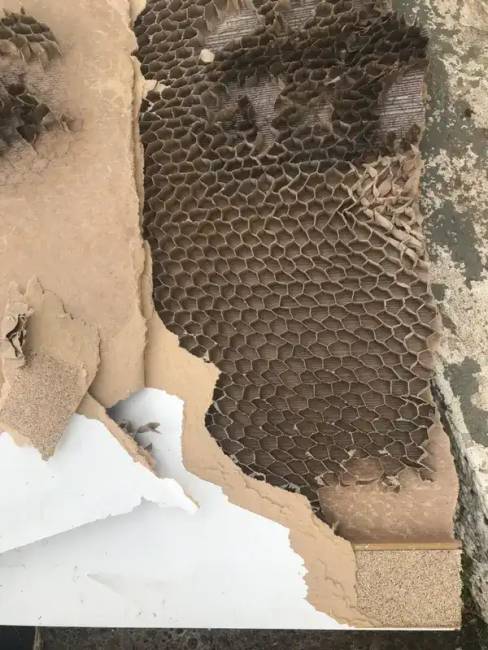 27 lenyűgöző fotó: mi rejtőzik a hétköznapi tárgyak belsejében?