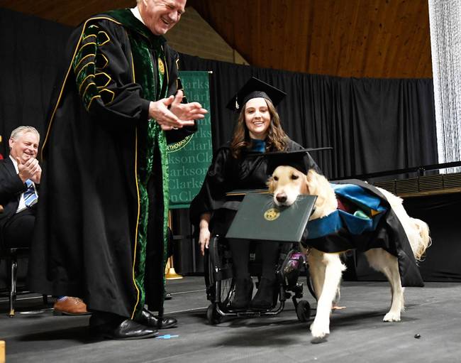 A new yorki Clarkson Egyetemen diplomázó mozgássérült diáklány és az ő segítőkutyája, aki szintén oklevelet kapott, amiért 4 éven át minden nap segítette a gazdáját, hogy sikeres vizsgát tehessen.