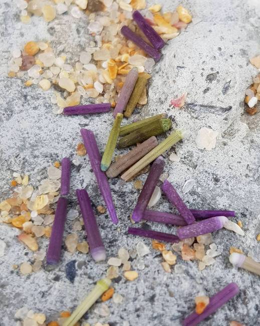 „Portugália homokos strandjain ilyen furcsa színes valamikkel lehet találkozni. Mik ezek?!"