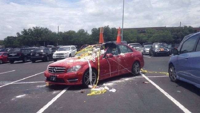 Drága parkolás volt, az egyszer biztos.