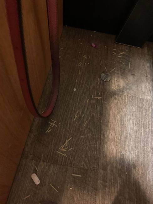 „Véletlenül leejtettem a barátnőm táskáját, és egy darab érme, egy gyógyszer, és rengeteg reszelt parmezán esett ki belőle."
