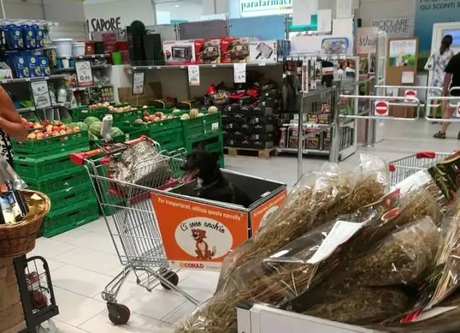 Külföldi boltok érdekességek 026